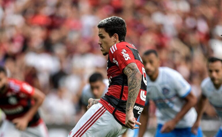 Flamengo x Bahia - Campeonato Brasileiro - 20/6/2024 - Bolavip Brasil