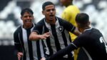 Onde assistir a Athletico-PR x Botafogo ao vivo, na internet e na TV, escalação, horário e mais do Brasileirão sub-20 2024