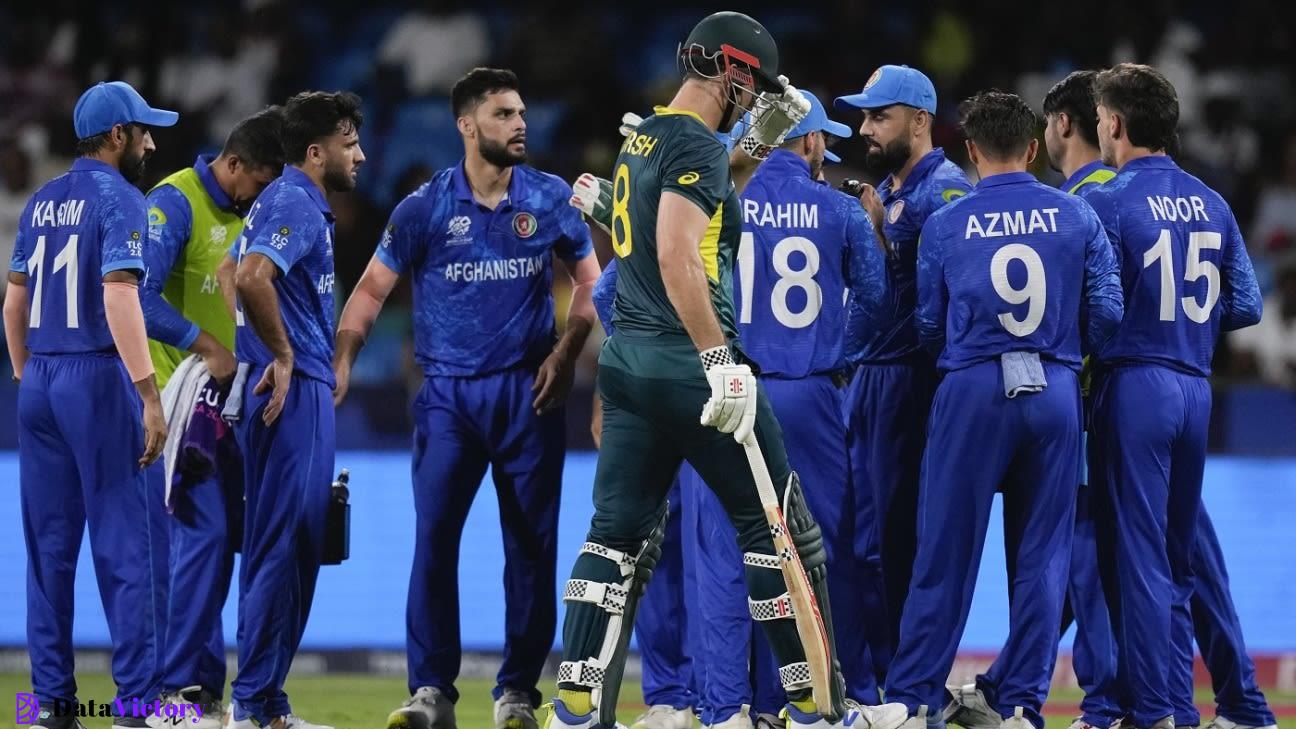 Married assured that after losing to Afghanistan, Australia will be "up and...