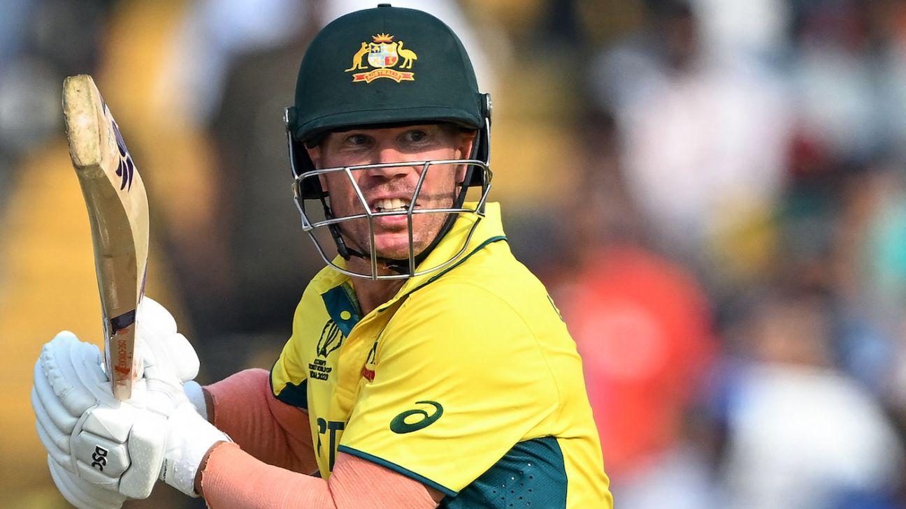 David Warner keeps the lock locked for the Champions Trophy if chosen.