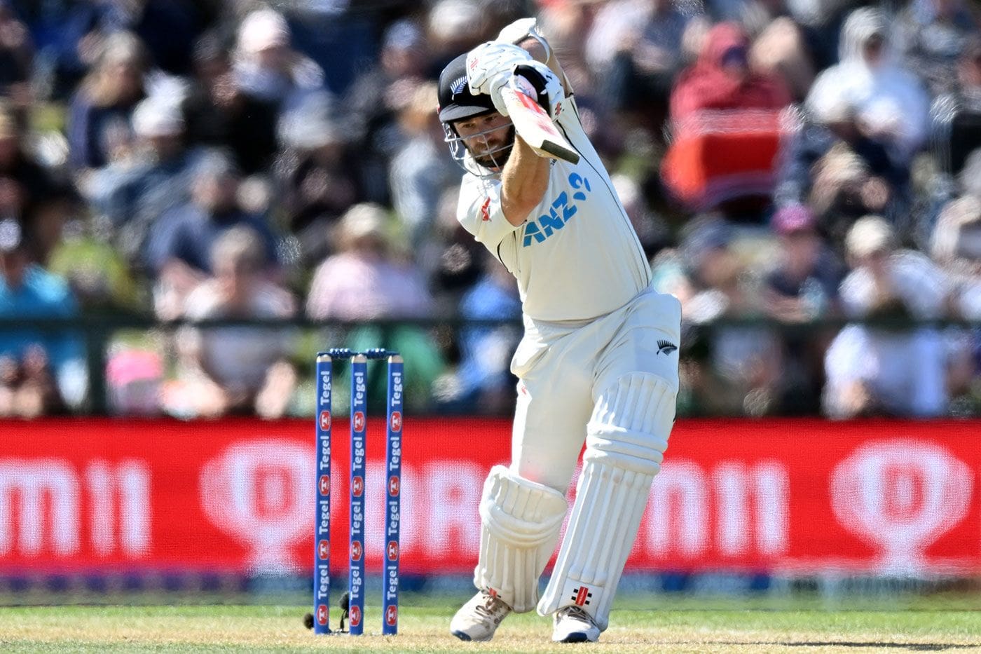 Kane Williamson gets the cover drive away, New Zealand vs Australia, 2nd Test, Christchurch, 2nd Day, March 9, 2024