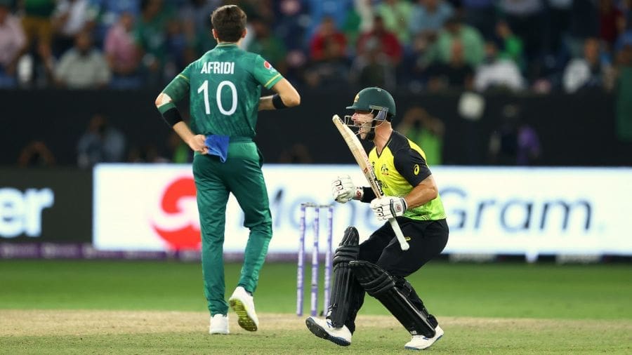 Matthew Wade is pumped up after taking Australia home, Australia vs Pakistan, T20 World Cup, 2nd semi-final, Dubai, November 11, 20211