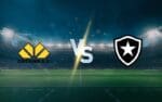 Criciúma vs Botafogo prediction and betting tips