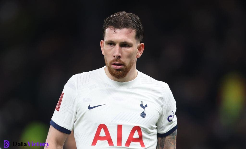 Tottenham midfielder Pierre-Emile Hojbjerg.