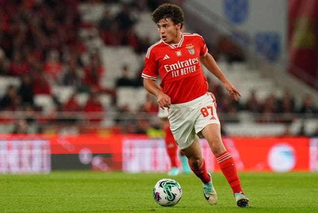 Manchester United target Joao Neves