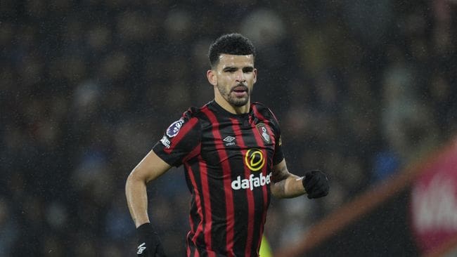 Dominic Solanke in action for Bournemouth